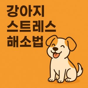 강아지 스트레스 해소법