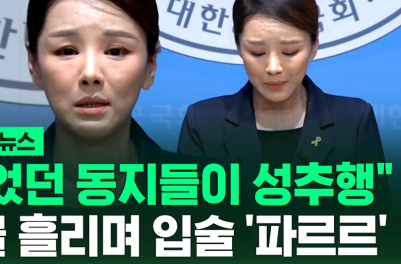 조국혁신당 성비위 사건2