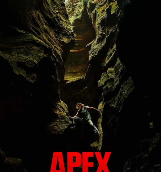 넷플릭스 영화 정점 리뷰