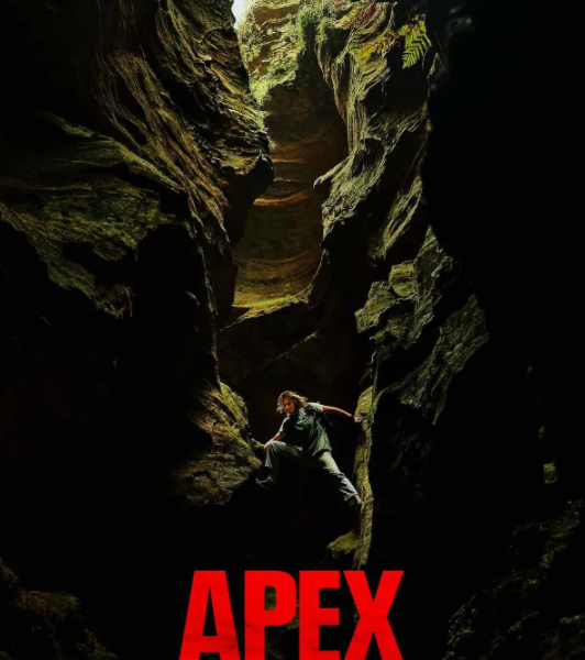 넷플릭스 영화 정점 리뷰