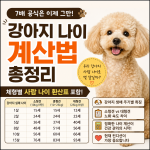 강아지 나이 계산법