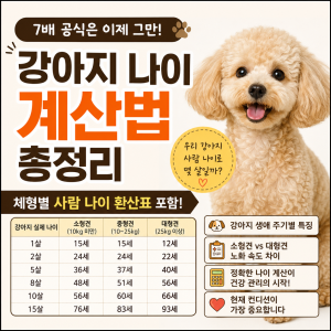 강아지 나이 계산법