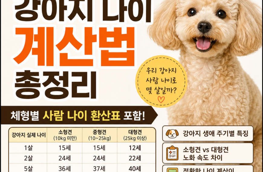 강아지 나이 계산법