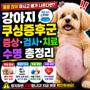 강아지 쿠싱증후군