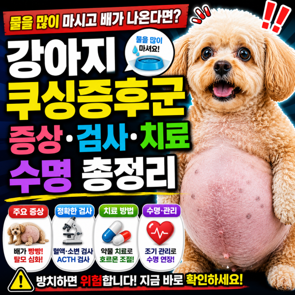 강아지 쿠싱증후군