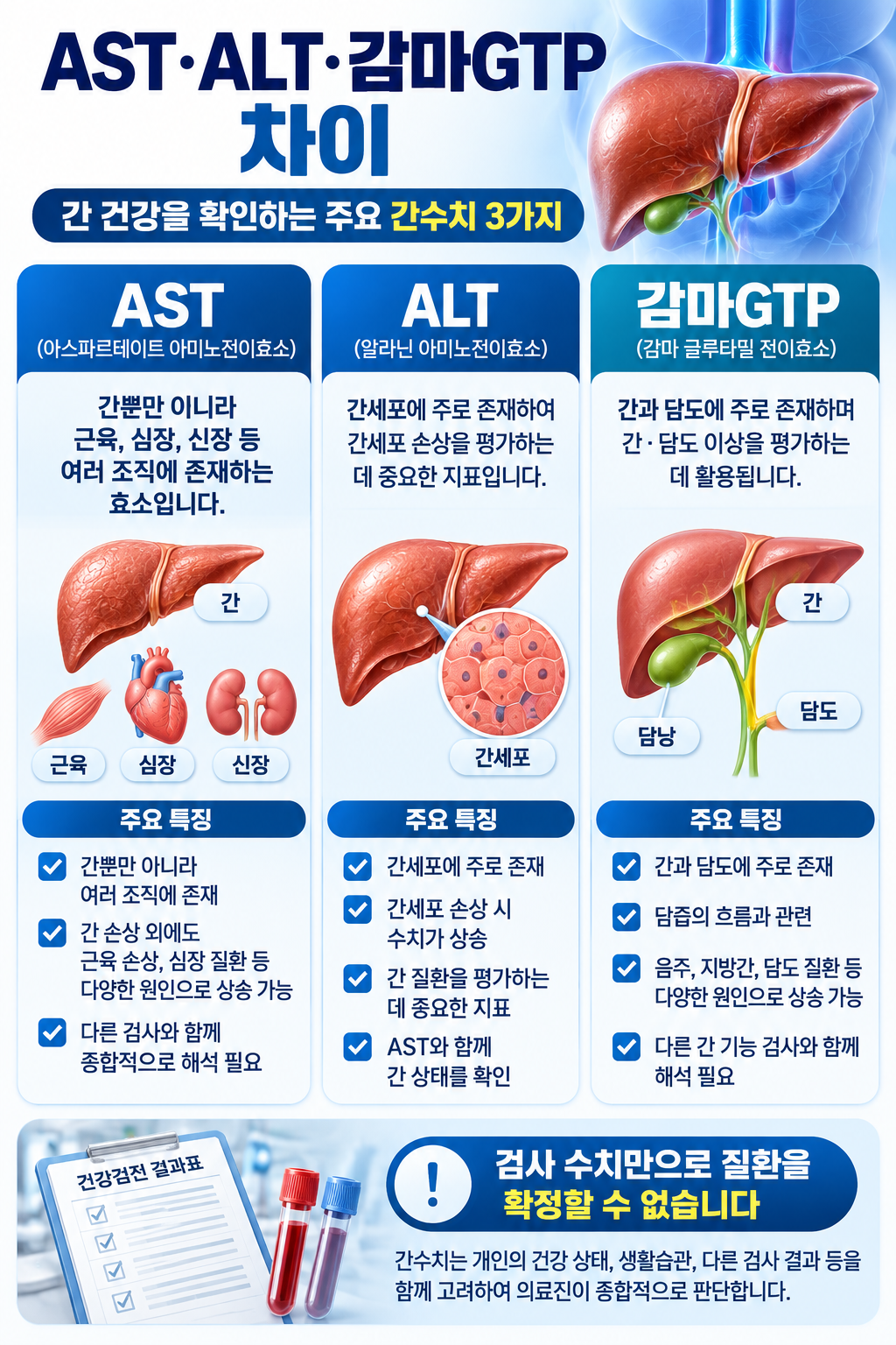 AST·ALT·감마GTP 간수치 비교 가이드