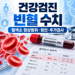 건강검진 빈혈 수치